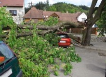 Kwikfynd Tree Cutting Services
knockrow